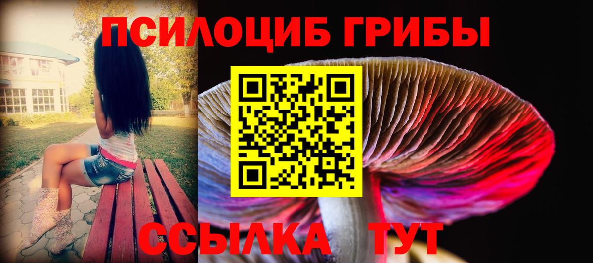 Владимир  где купить   Вход с VPN  Галлюциногенные грибы GOLDEN TEACHER 